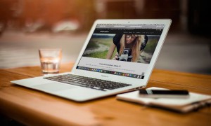 Wordpress grund